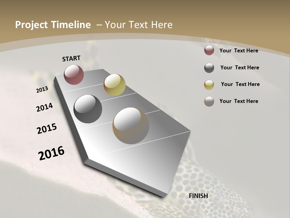 Colorful Spotted Tropical Catfish Swimming In Aquarium PowerPoint Template