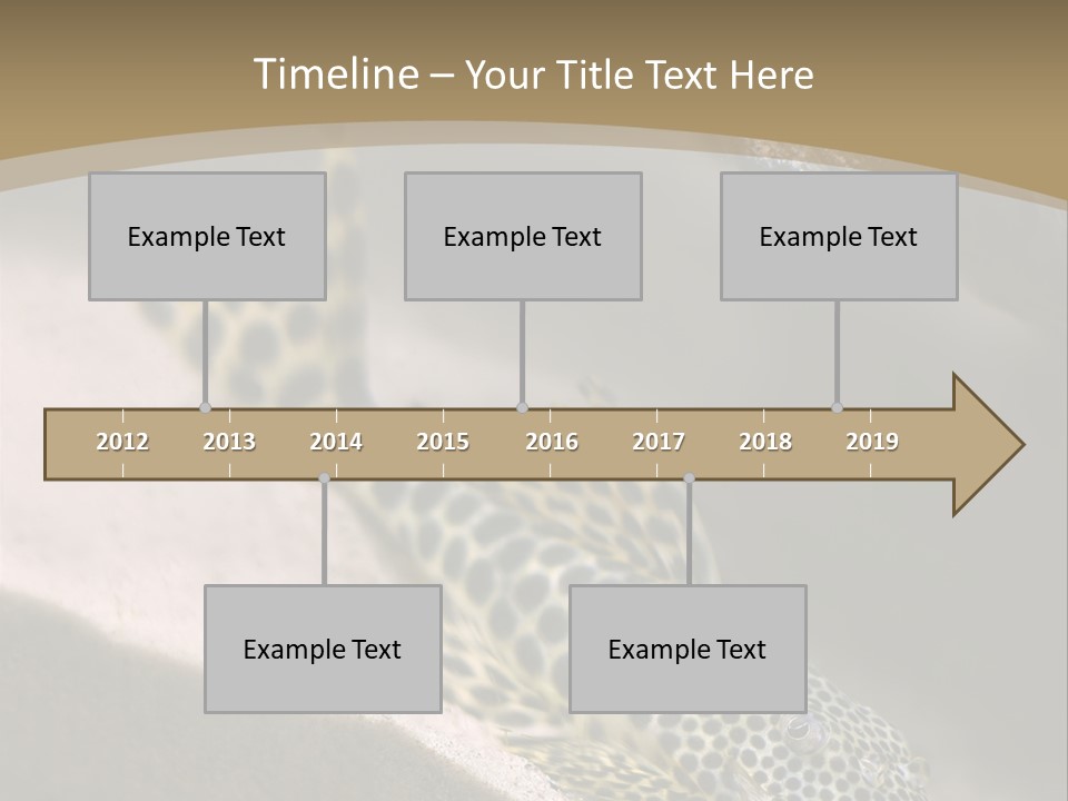 Colorful Spotted Tropical Catfish Swimming In Aquarium PowerPoint Template