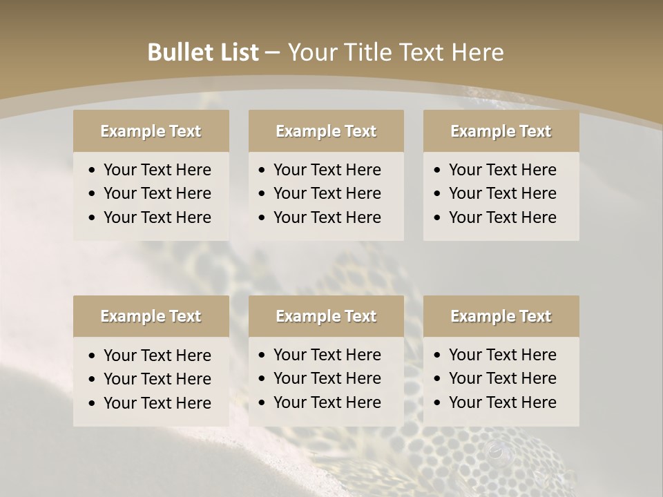 Colorful Spotted Tropical Catfish Swimming In Aquarium PowerPoint Template