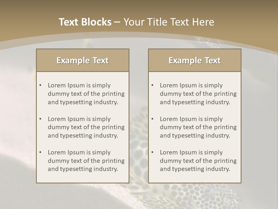 Colorful Spotted Tropical Catfish Swimming In Aquarium PowerPoint Template