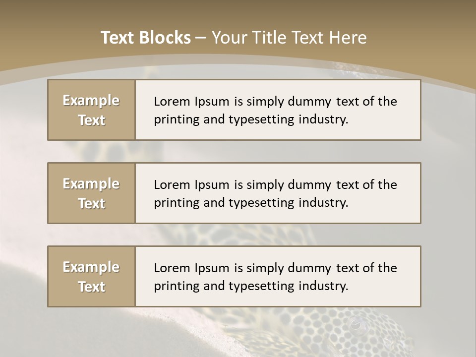 Colorful Spotted Tropical Catfish Swimming In Aquarium PowerPoint Template