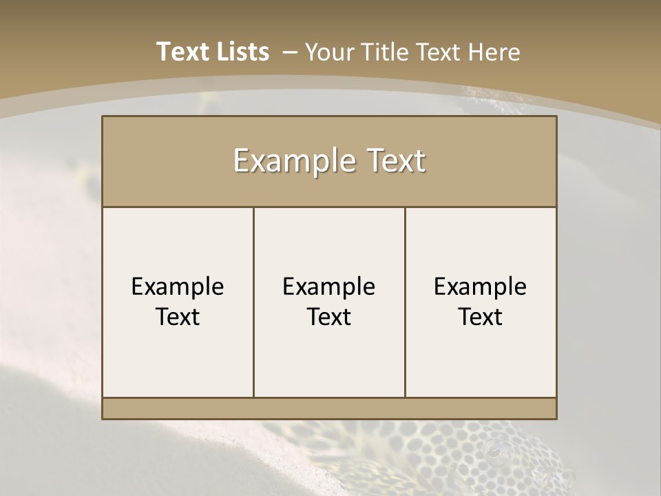 Colorful Spotted Tropical Catfish Swimming In Aquarium PowerPoint Template