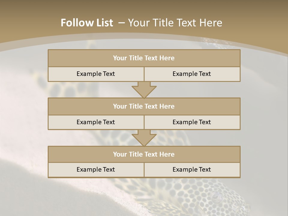 Colorful Spotted Tropical Catfish Swimming In Aquarium PowerPoint Template