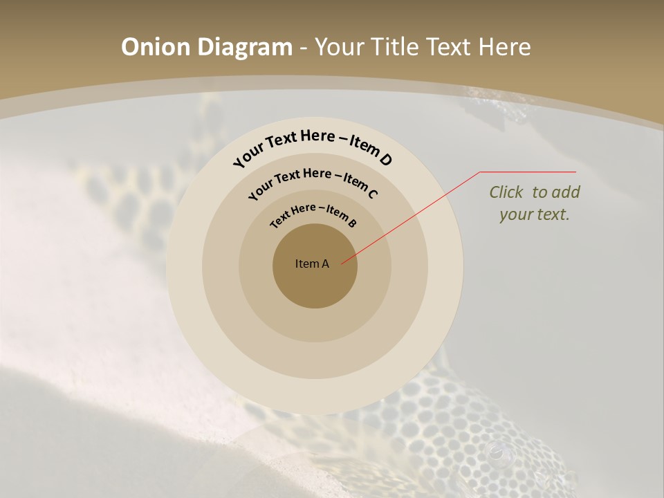 Colorful Spotted Tropical Catfish Swimming In Aquarium PowerPoint Template