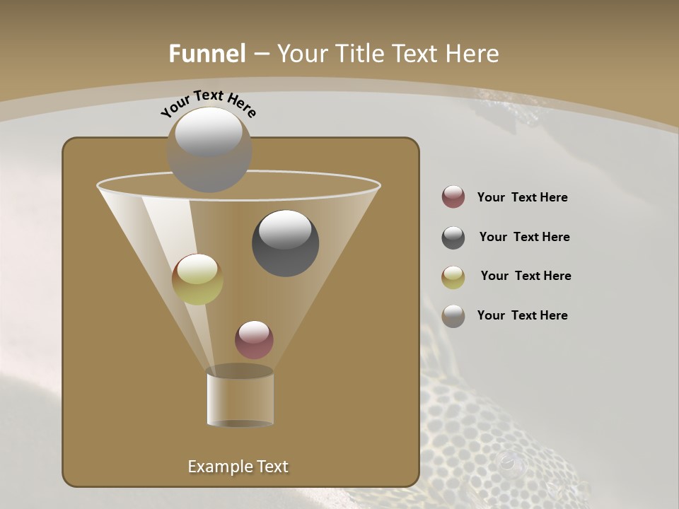 Colorful Spotted Tropical Catfish Swimming In Aquarium PowerPoint Template