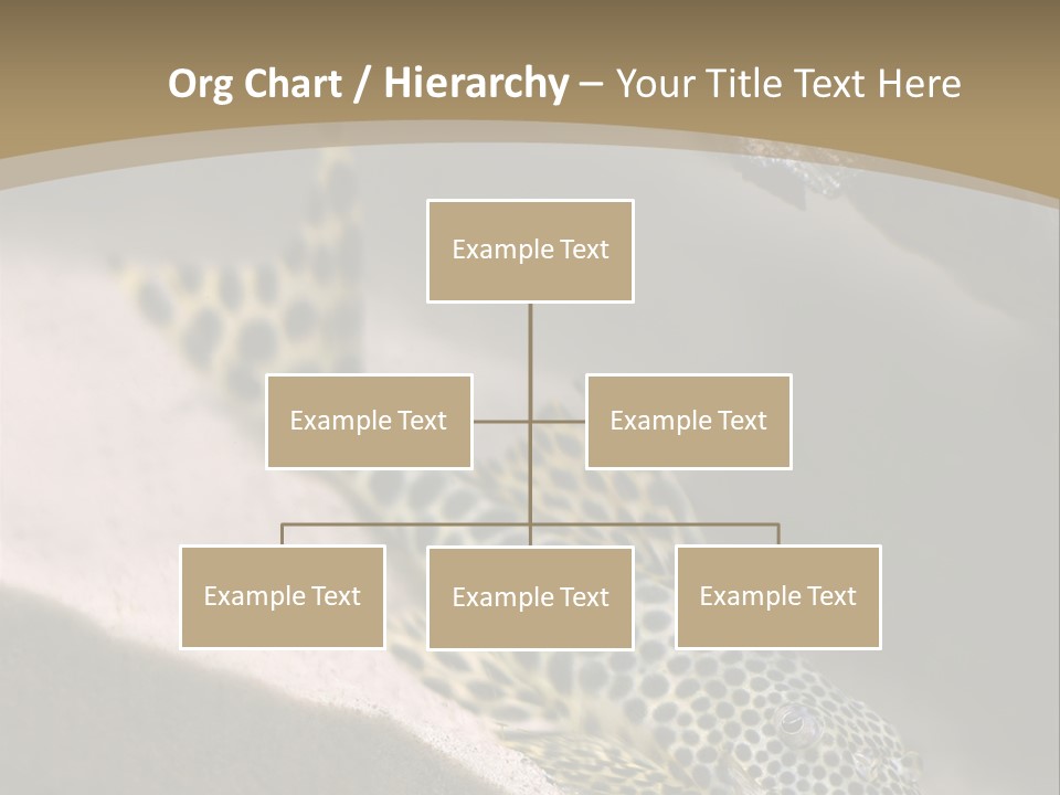 Colorful Spotted Tropical Catfish Swimming In Aquarium PowerPoint Template