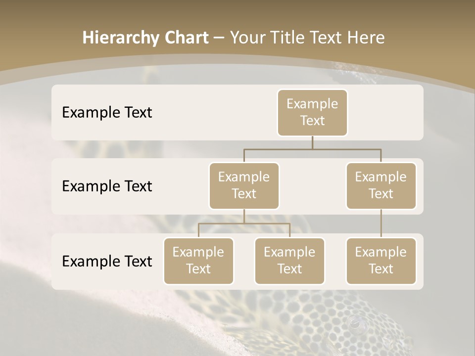 Colorful Spotted Tropical Catfish Swimming In Aquarium PowerPoint Template