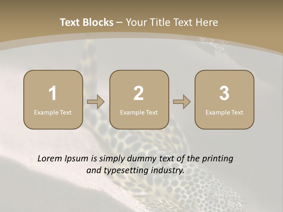 Colorful Spotted Tropical Catfish Swimming In Aquarium PowerPoint Template