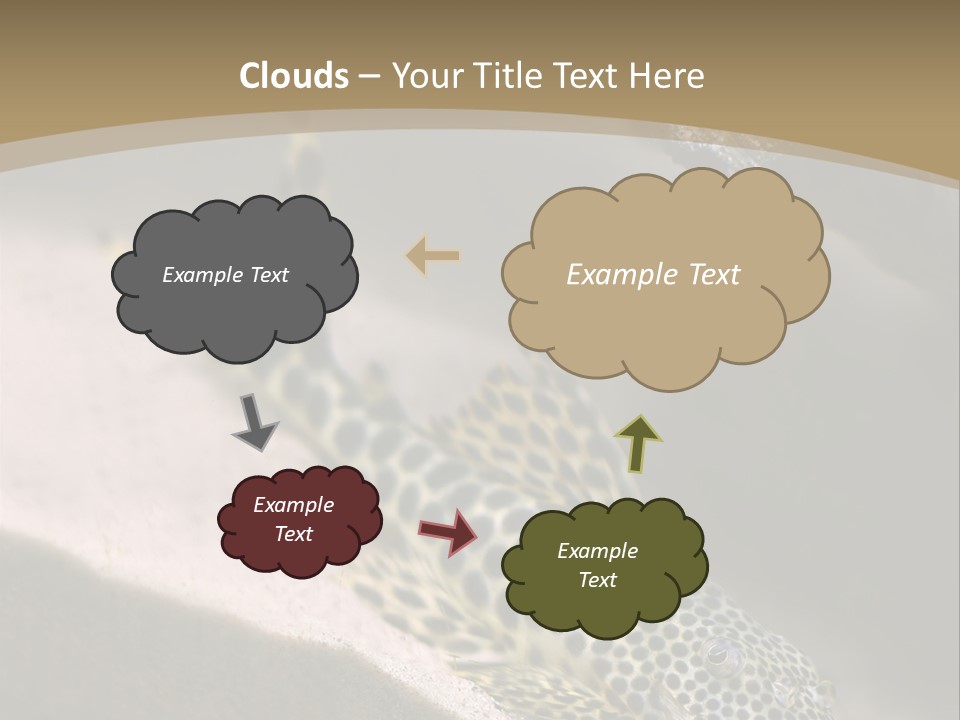 Colorful Spotted Tropical Catfish Swimming In Aquarium PowerPoint Template