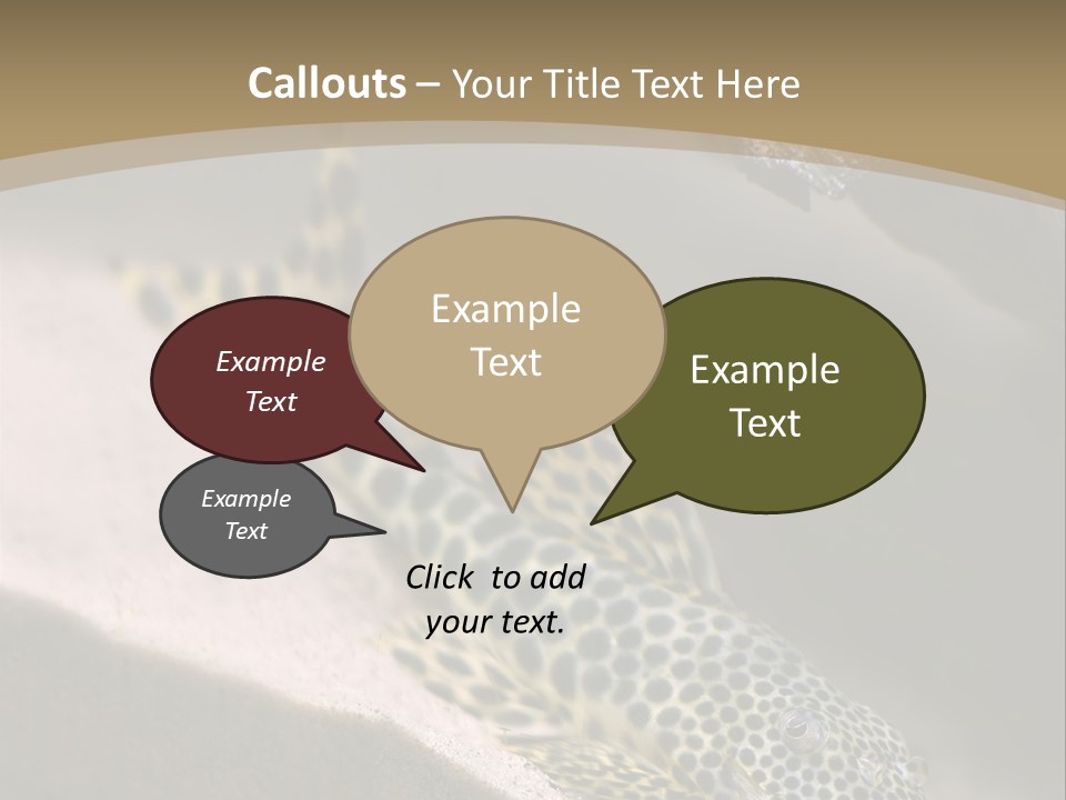 Colorful Spotted Tropical Catfish Swimming In Aquarium PowerPoint Template