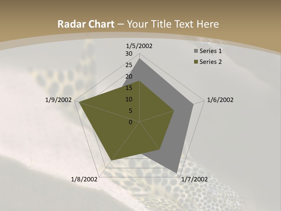 Colorful Spotted Tropical Catfish Swimming In Aquarium PowerPoint Template