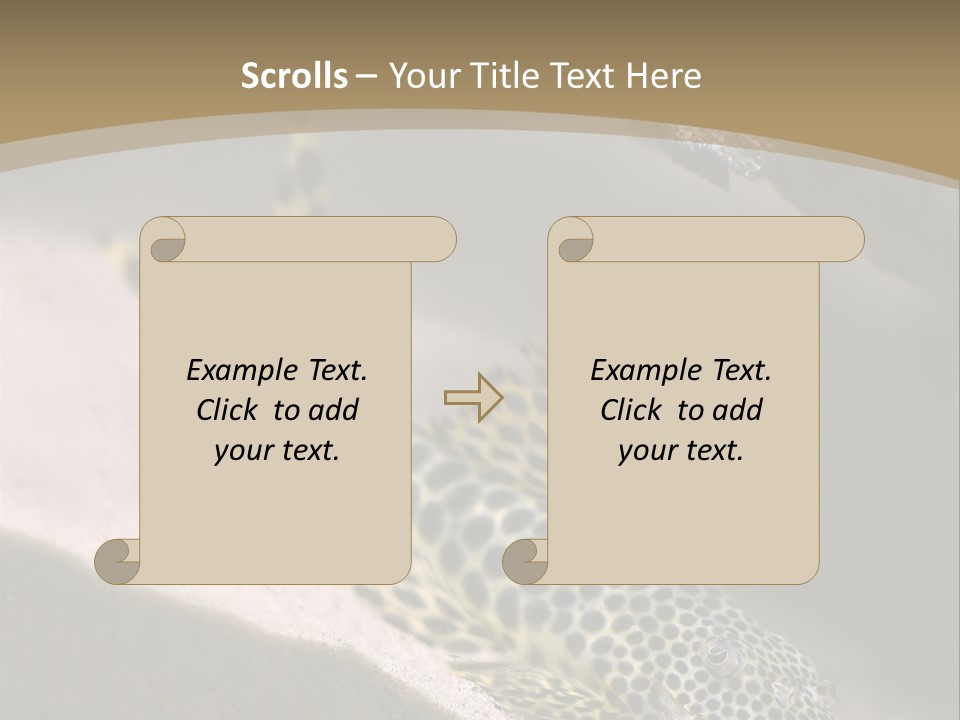 Colorful Spotted Tropical Catfish Swimming In Aquarium PowerPoint Template