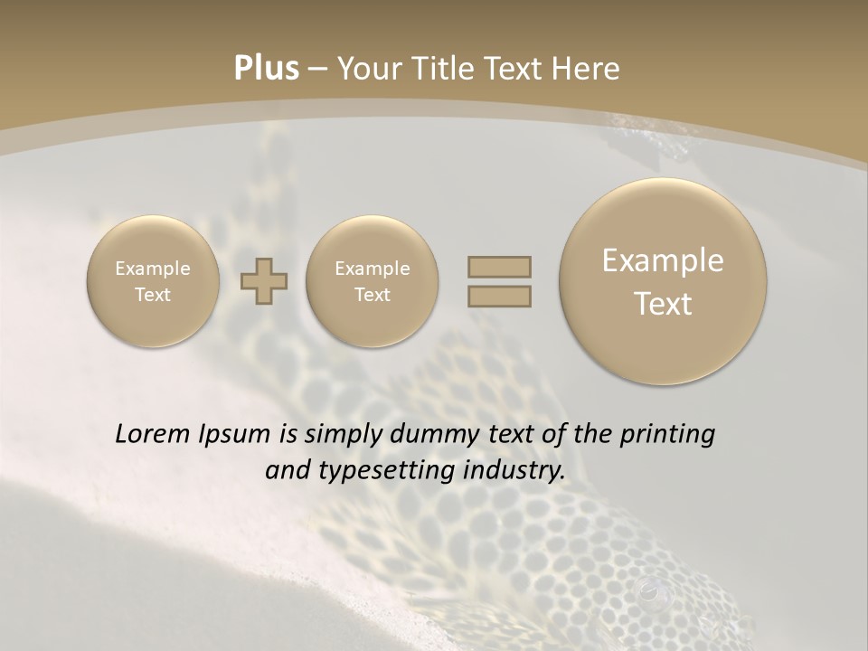 Colorful Spotted Tropical Catfish Swimming In Aquarium PowerPoint Template