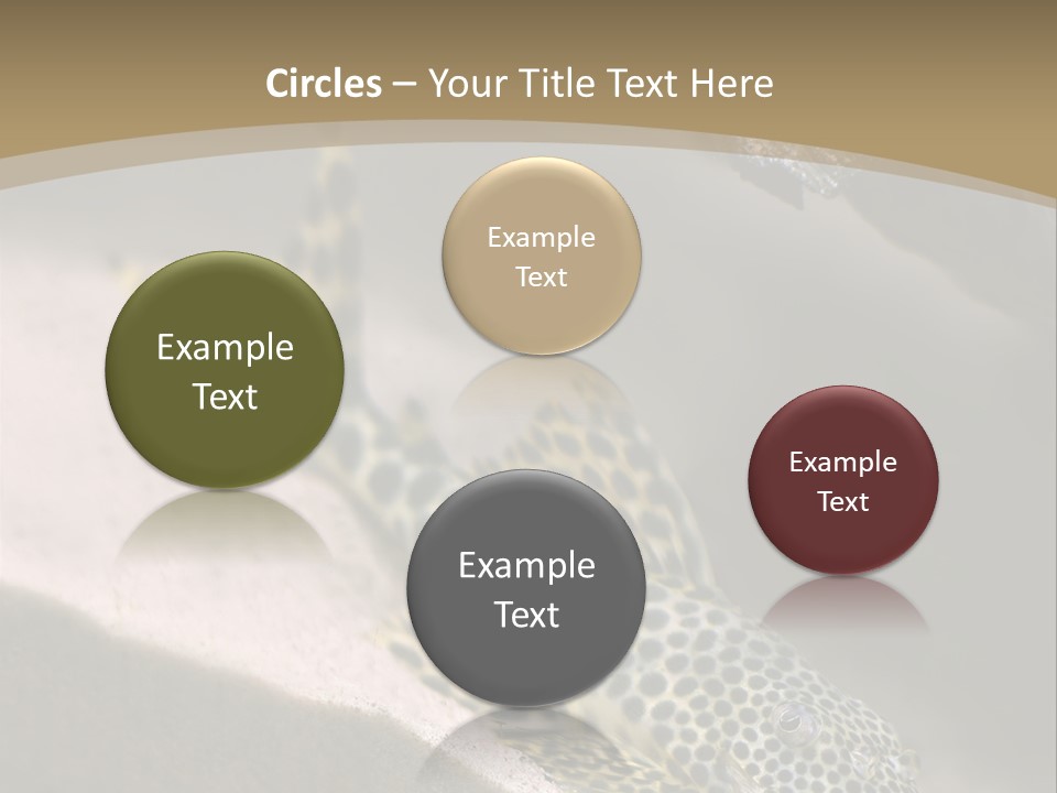 Colorful Spotted Tropical Catfish Swimming In Aquarium PowerPoint Template