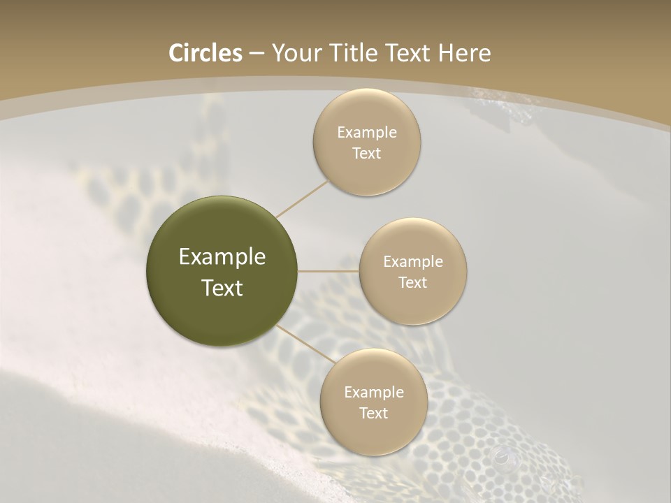 Colorful Spotted Tropical Catfish Swimming In Aquarium PowerPoint Template