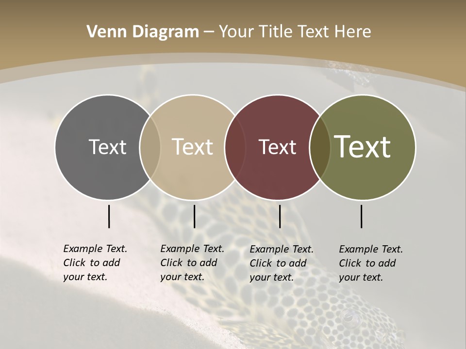 Colorful Spotted Tropical Catfish Swimming In Aquarium PowerPoint Template