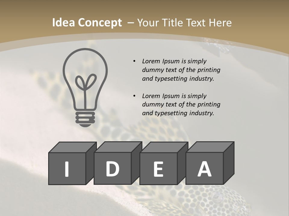 Colorful Spotted Tropical Catfish Swimming In Aquarium PowerPoint Template