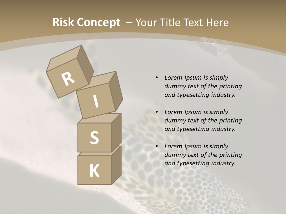 Colorful Spotted Tropical Catfish Swimming In Aquarium PowerPoint Template