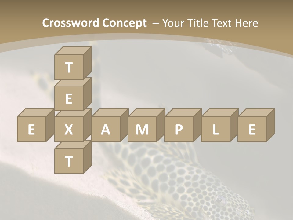 Colorful Spotted Tropical Catfish Swimming In Aquarium PowerPoint Template