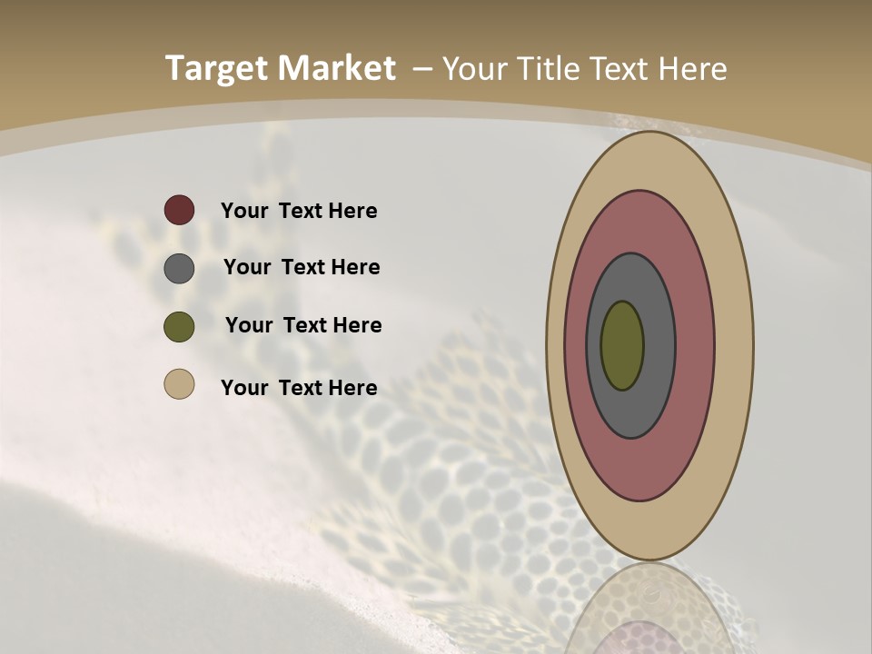 Colorful Spotted Tropical Catfish Swimming In Aquarium PowerPoint Template