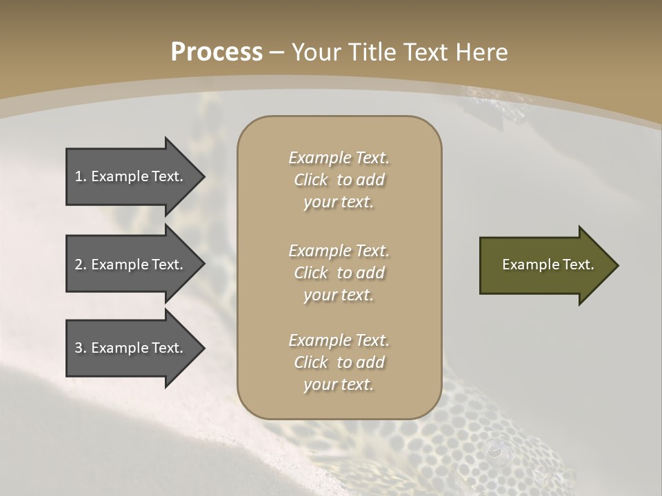 Colorful Spotted Tropical Catfish Swimming In Aquarium PowerPoint Template