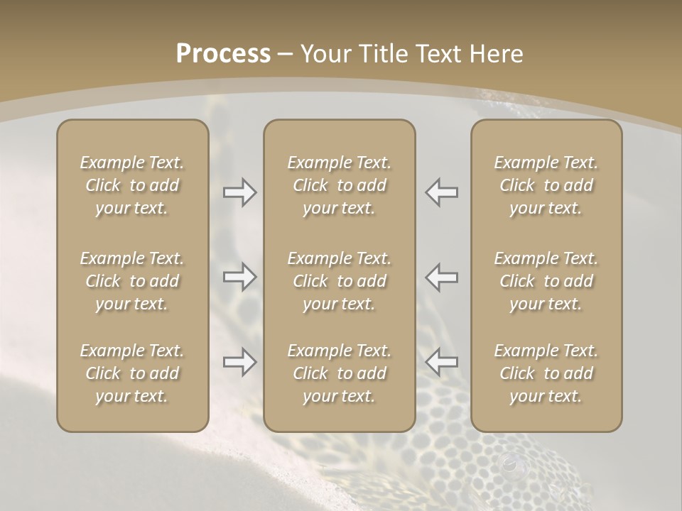 Colorful Spotted Tropical Catfish Swimming In Aquarium PowerPoint Template