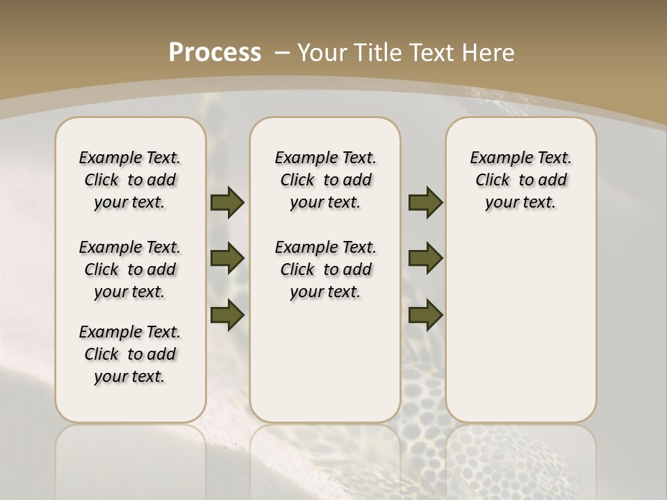 Colorful Spotted Tropical Catfish Swimming In Aquarium PowerPoint Template