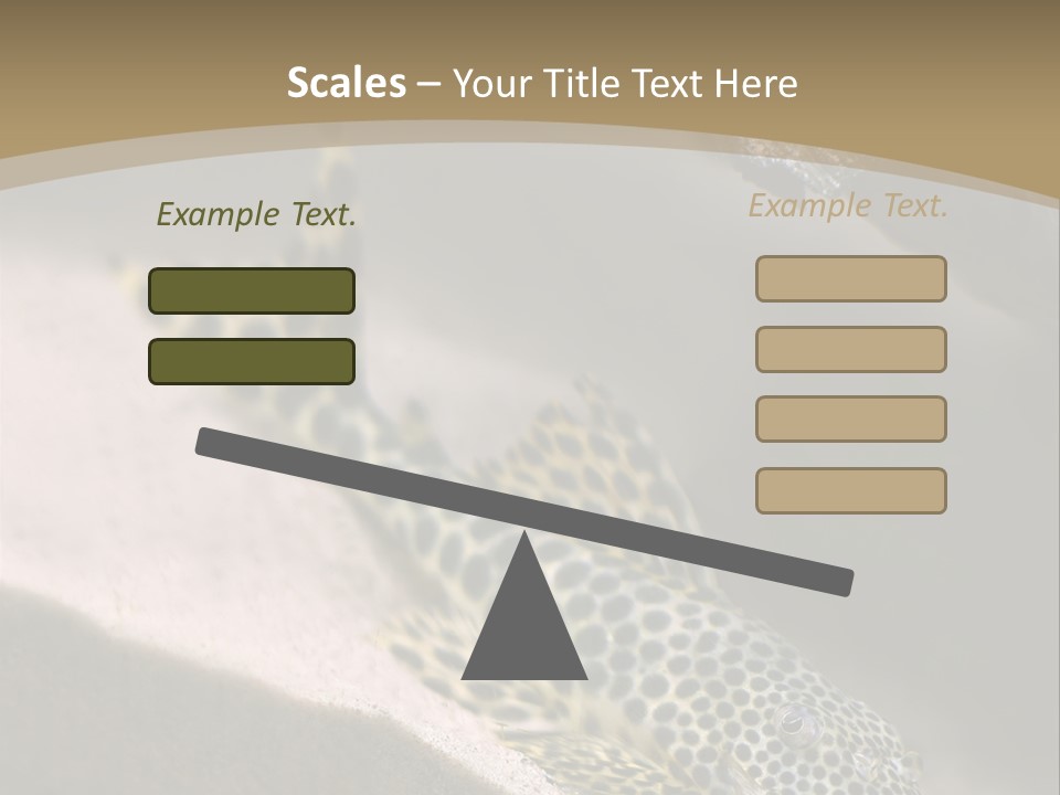 Colorful Spotted Tropical Catfish Swimming In Aquarium PowerPoint Template