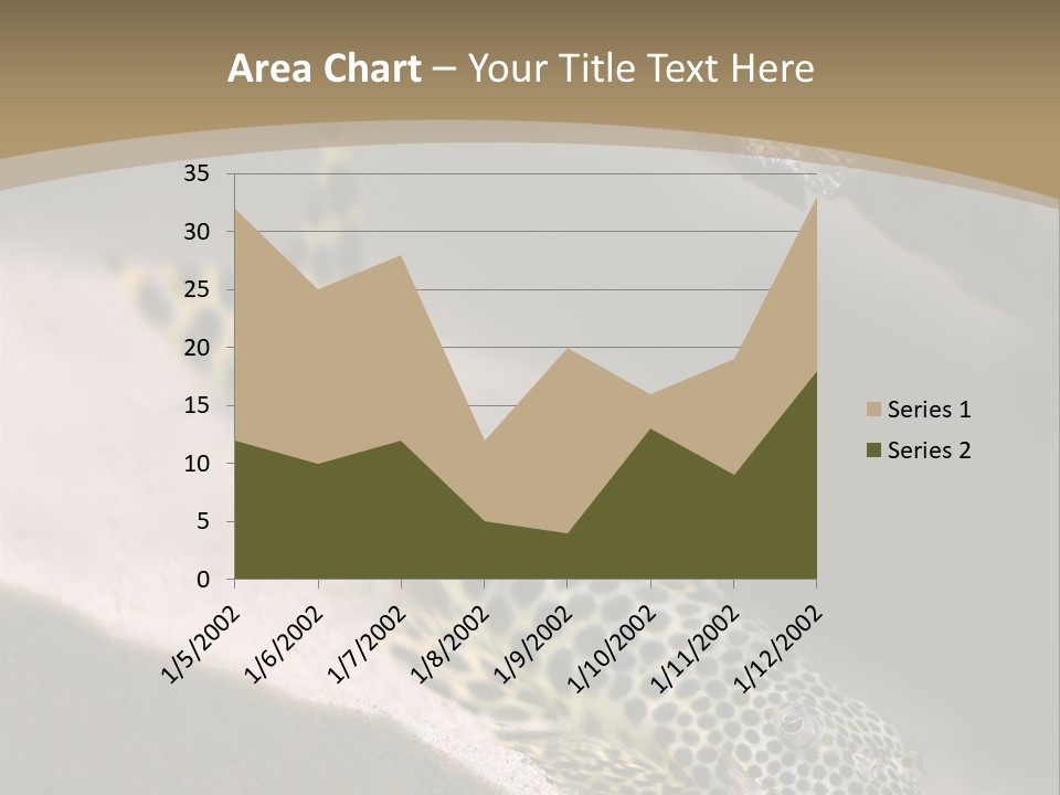 Colorful Spotted Tropical Catfish Swimming In Aquarium PowerPoint Template