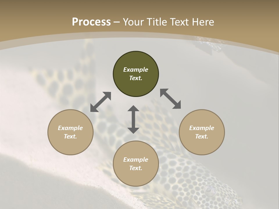 Colorful Spotted Tropical Catfish Swimming In Aquarium PowerPoint Template