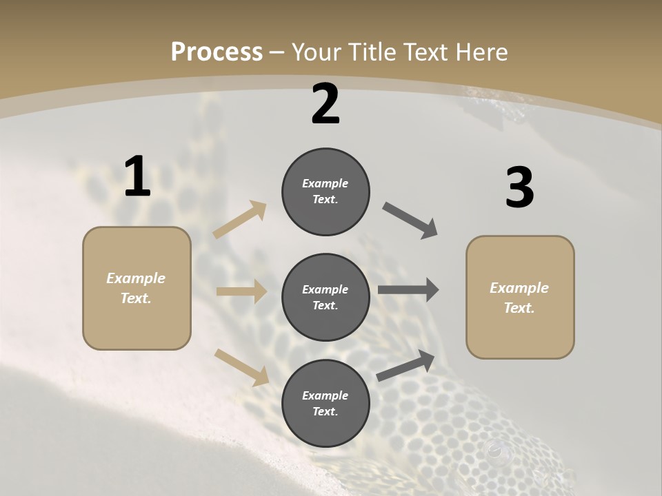 Colorful Spotted Tropical Catfish Swimming In Aquarium PowerPoint Template