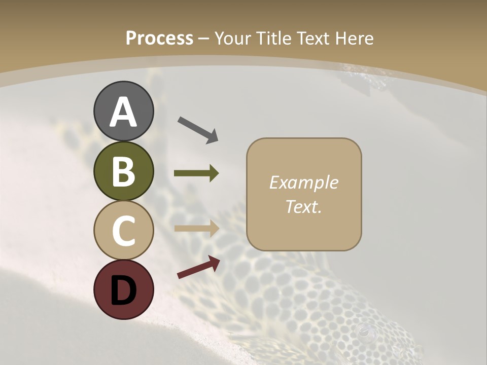 Colorful Spotted Tropical Catfish Swimming In Aquarium PowerPoint Template