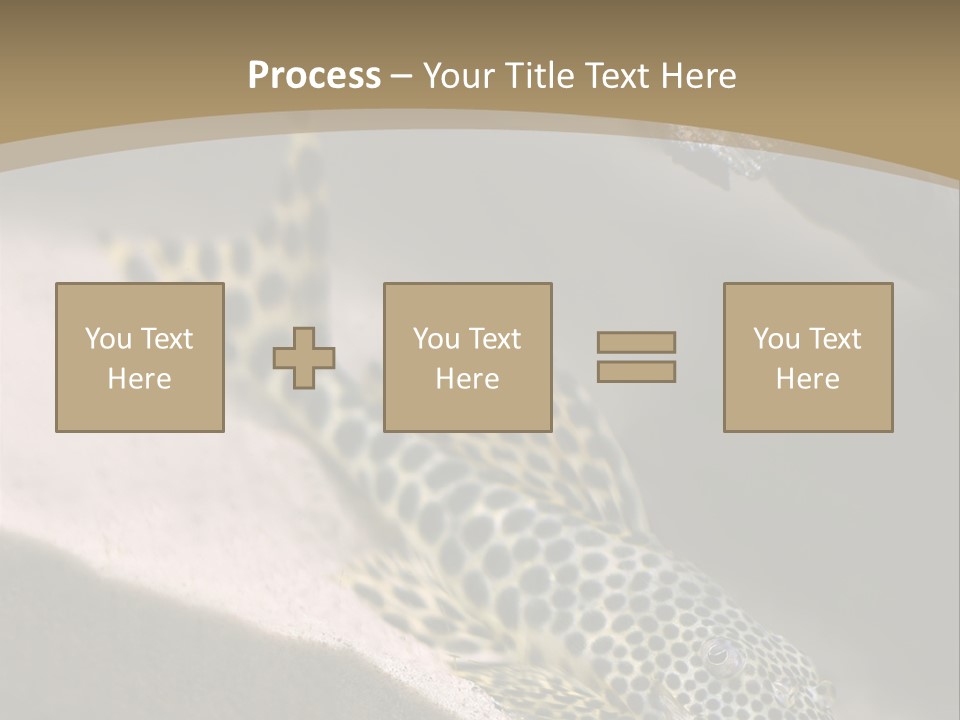 Colorful Spotted Tropical Catfish Swimming In Aquarium PowerPoint Template