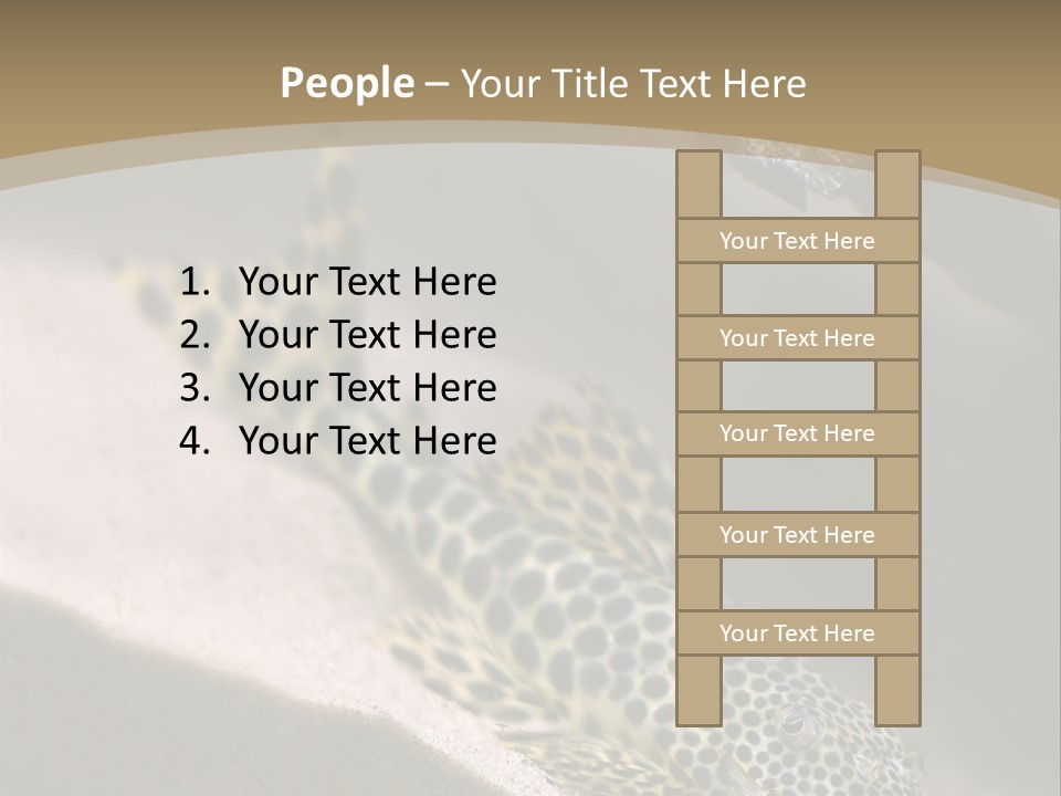 Colorful Spotted Tropical Catfish Swimming In Aquarium PowerPoint Template