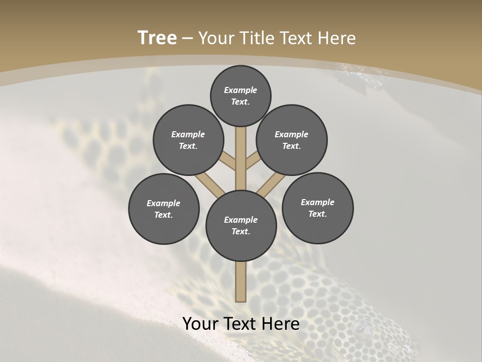 Colorful Spotted Tropical Catfish Swimming In Aquarium PowerPoint Template