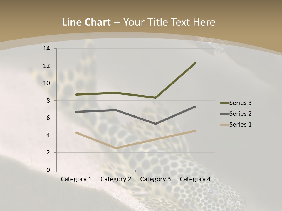 Colorful Spotted Tropical Catfish Swimming In Aquarium PowerPoint Template