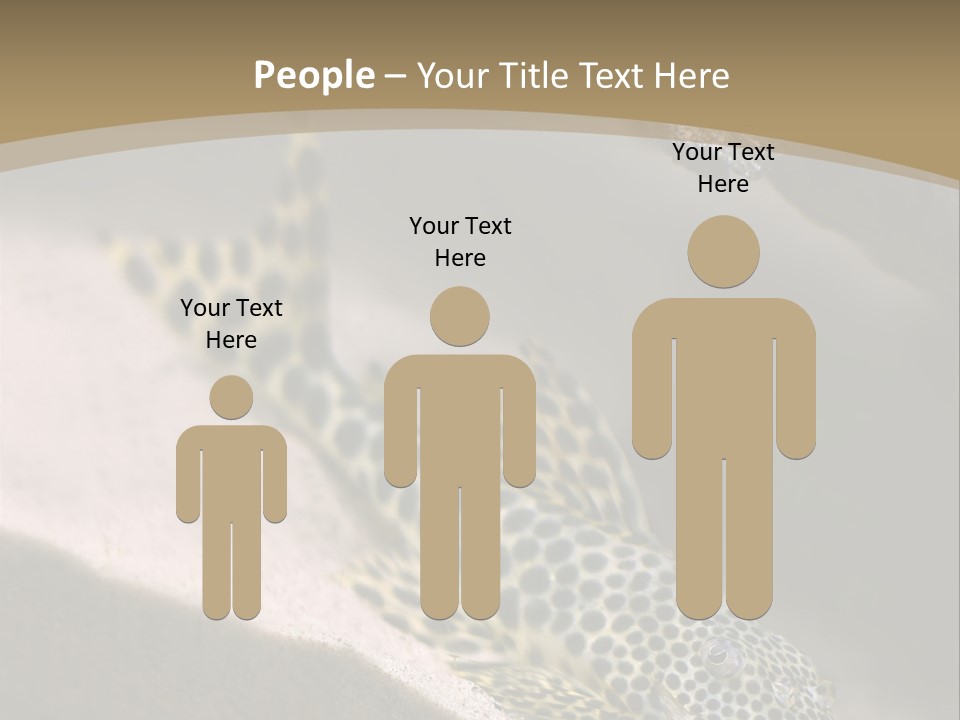 Colorful Spotted Tropical Catfish Swimming In Aquarium PowerPoint Template