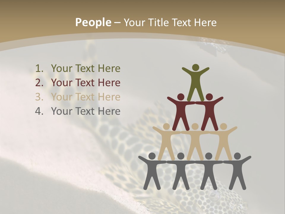 Colorful Spotted Tropical Catfish Swimming In Aquarium PowerPoint Template