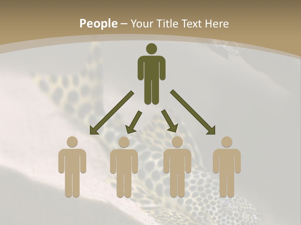 Colorful Spotted Tropical Catfish Swimming In Aquarium PowerPoint Template