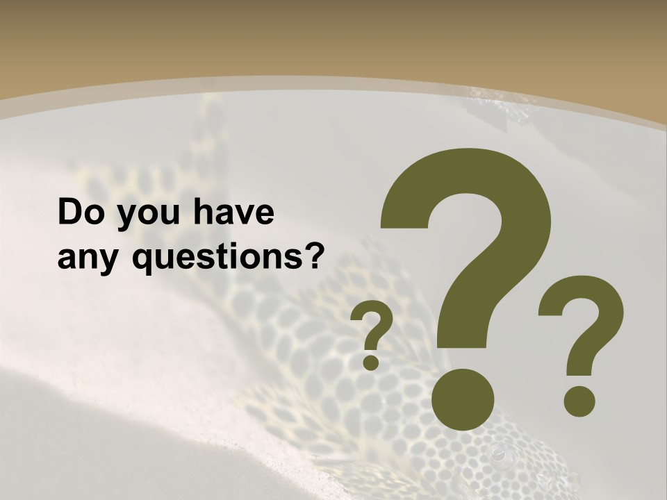 Colorful Spotted Tropical Catfish Swimming In Aquarium PowerPoint Template