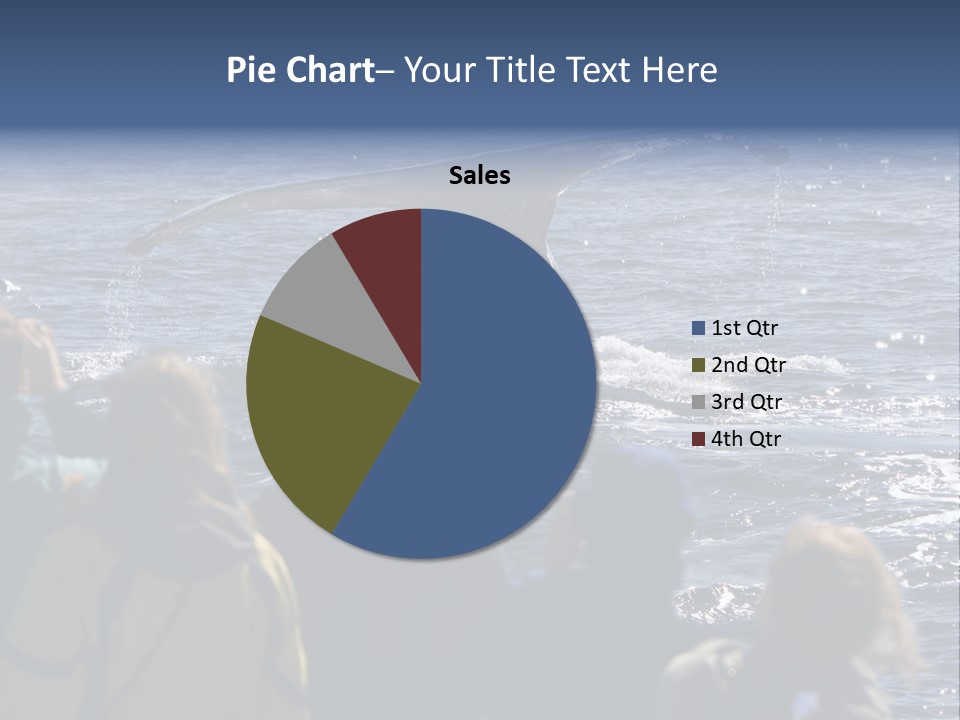 People On A Whale Watching Trip PowerPoint Template