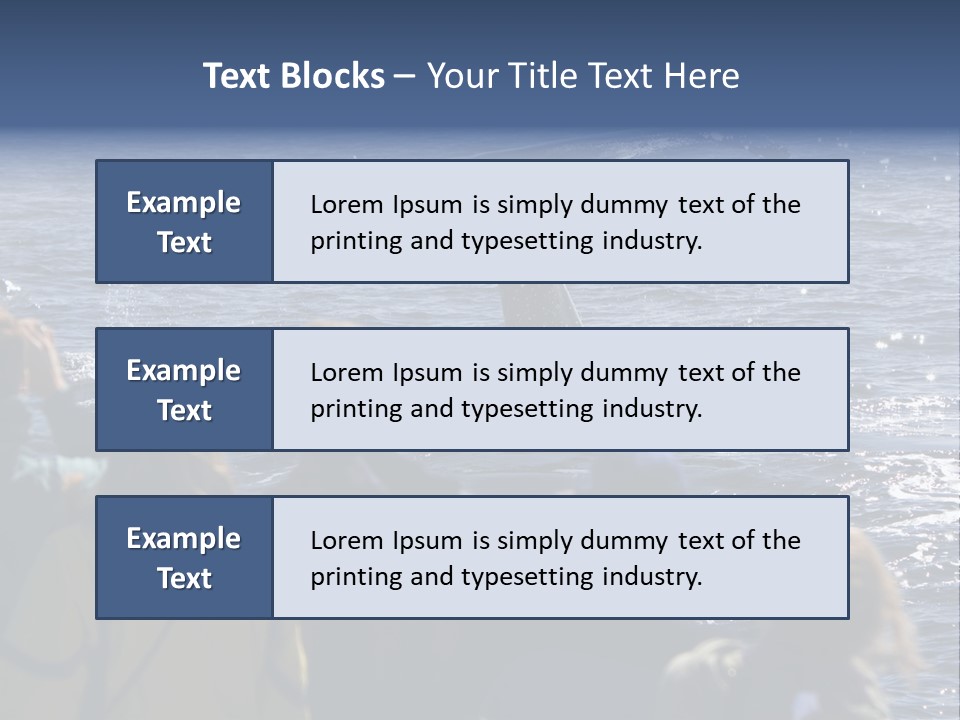 People On A Whale Watching Trip PowerPoint Template