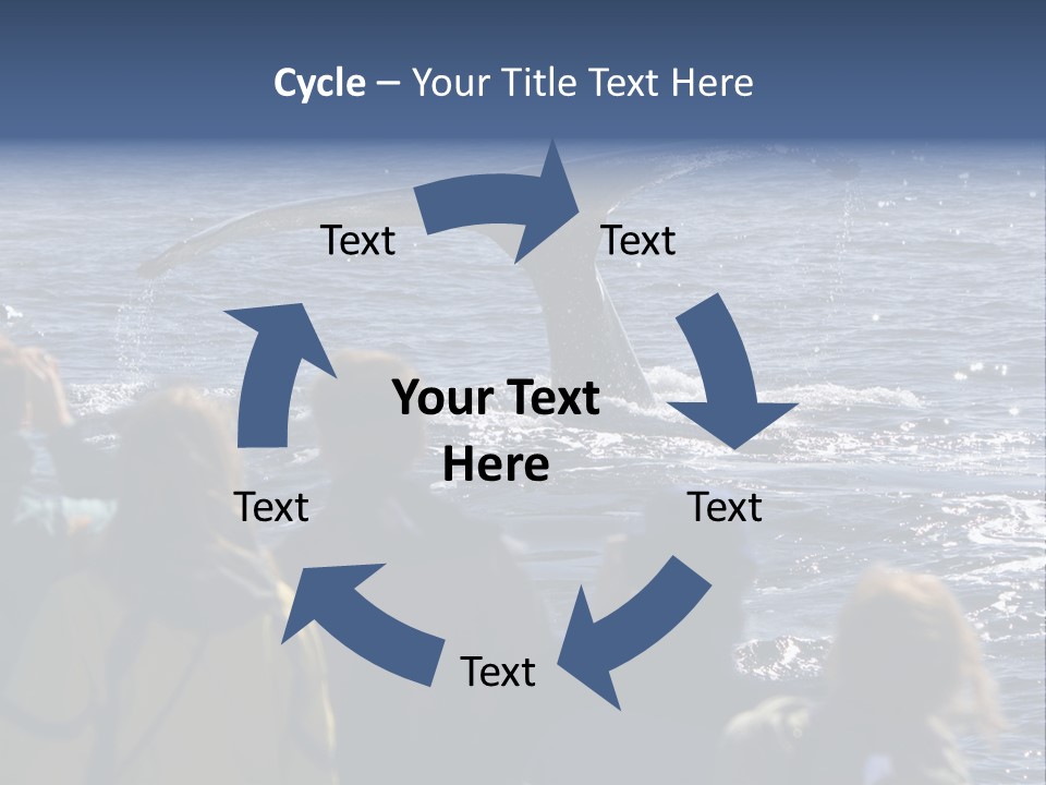 People On A Whale Watching Trip PowerPoint Template