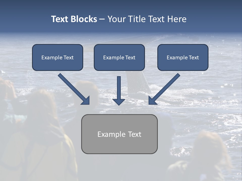 People On A Whale Watching Trip PowerPoint Template