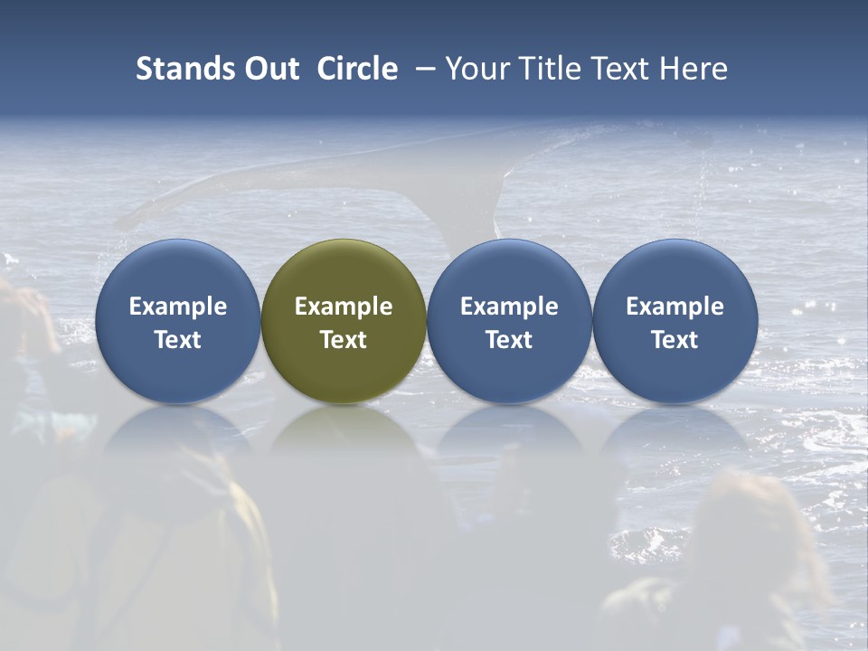 People On A Whale Watching Trip PowerPoint Template