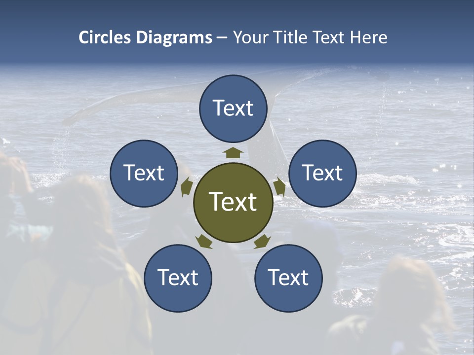 People On A Whale Watching Trip PowerPoint Template