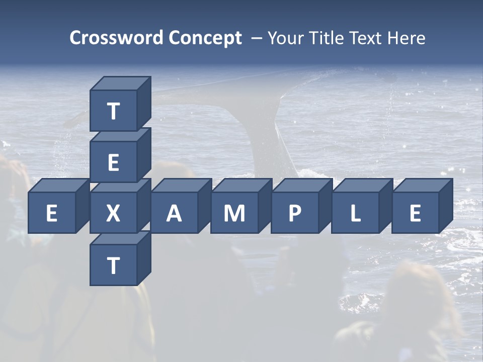 People On A Whale Watching Trip PowerPoint Template