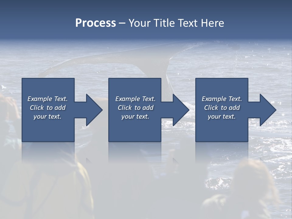 People On A Whale Watching Trip PowerPoint Template