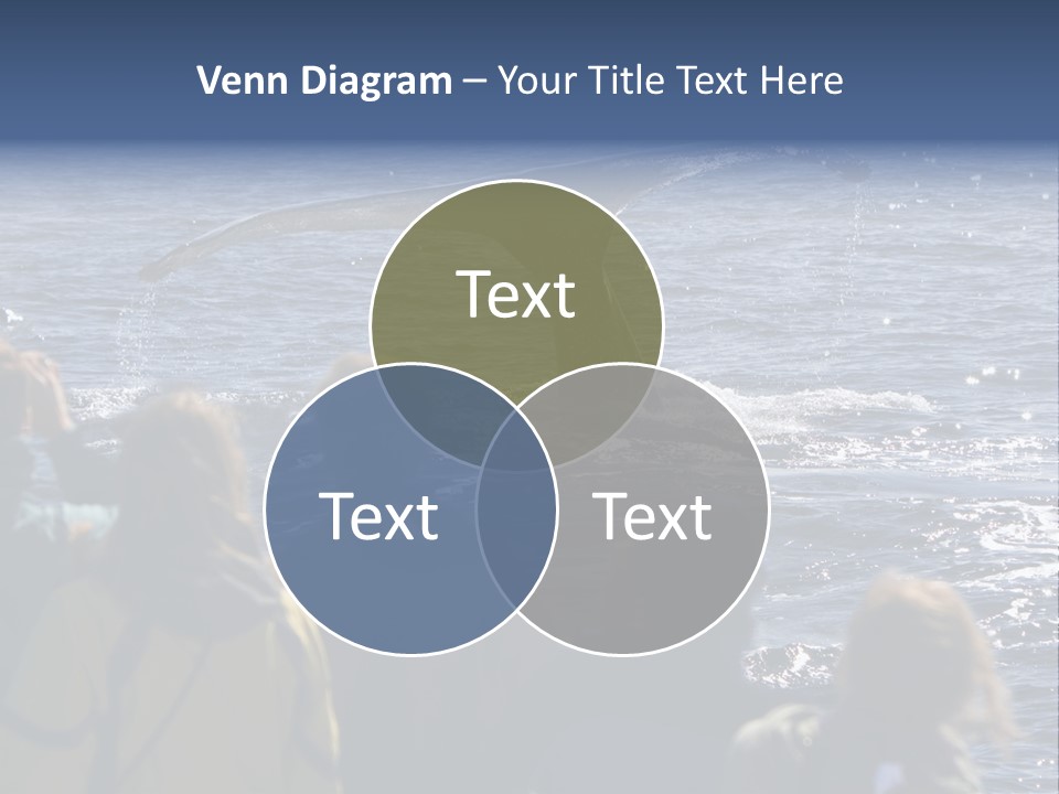 People On A Whale Watching Trip PowerPoint Template