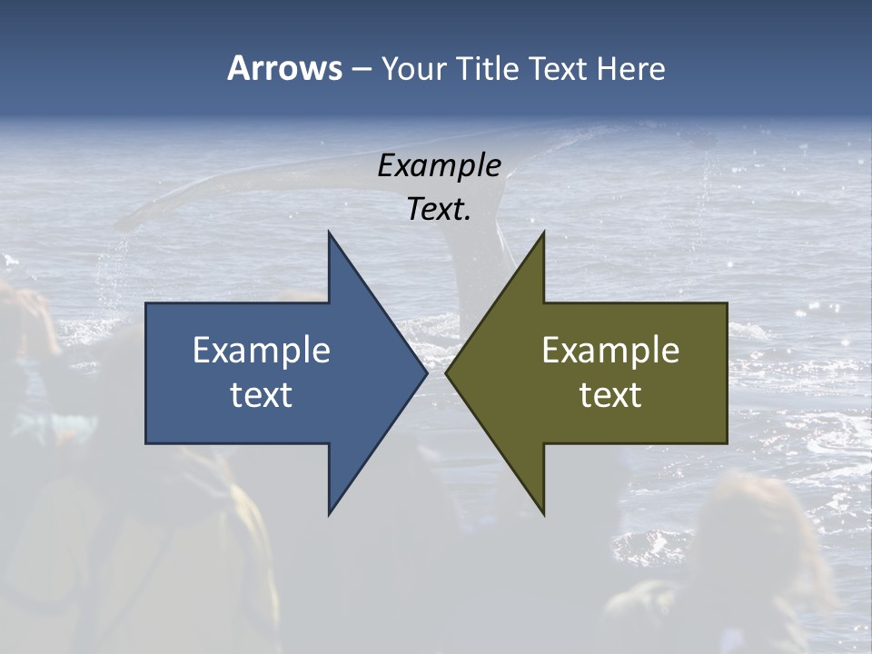 People On A Whale Watching Trip PowerPoint Template